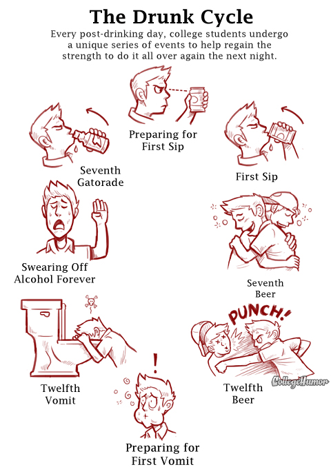 Drunk Cycle